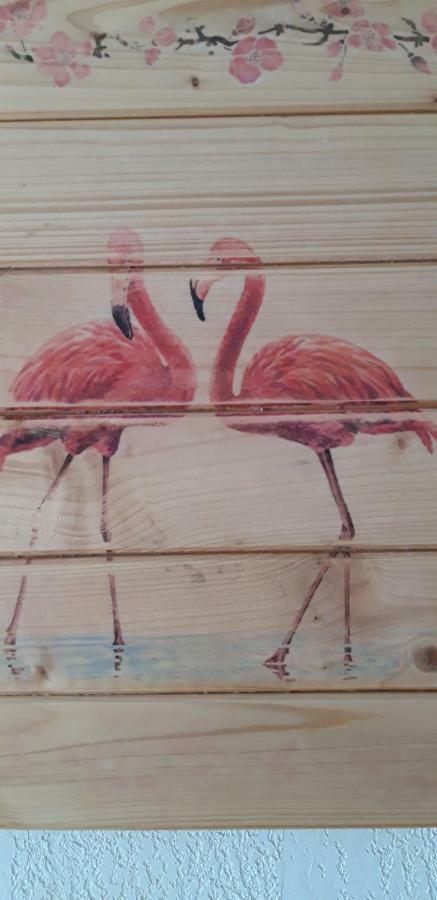 Bed and Breakfast Le Flamant Rose Сален-де-Жиро Экстерьер фото